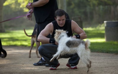 Working out with your dog: built-in social support