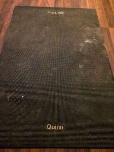 This is QUinn's old Thank Dog Mat. I haven't cleaned it since the last time it was used by her. It's just a little dried mud, that's all. :)