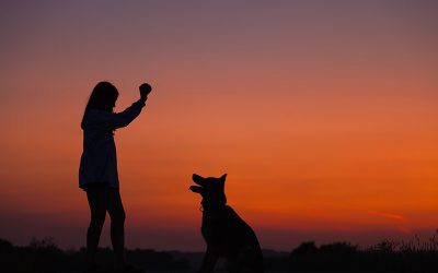 Two-Fold Training For You And Your Dog