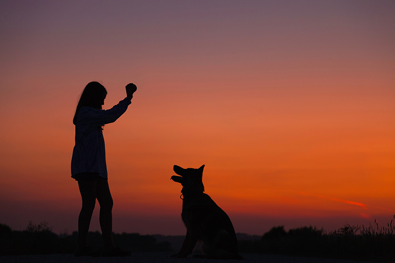 Two-Fold Training For You And Your Dog